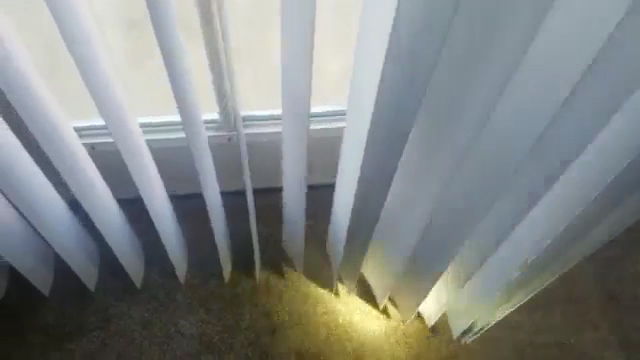 Essential Pest Control project