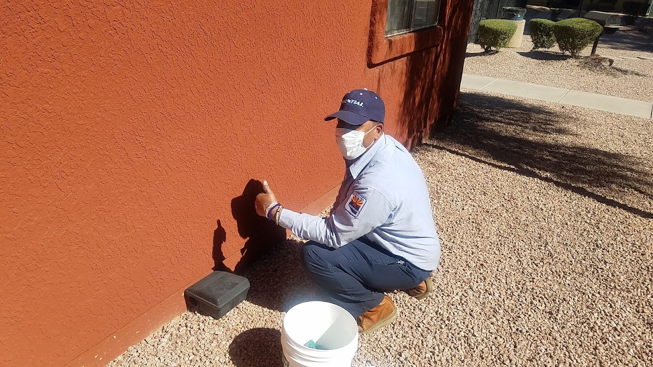 Essential Pest Control project